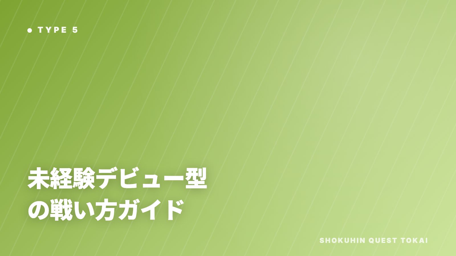 未経験デビュー型の戦い方ガイド 表紙